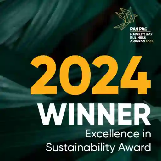 Sustainability Instagram post Winner